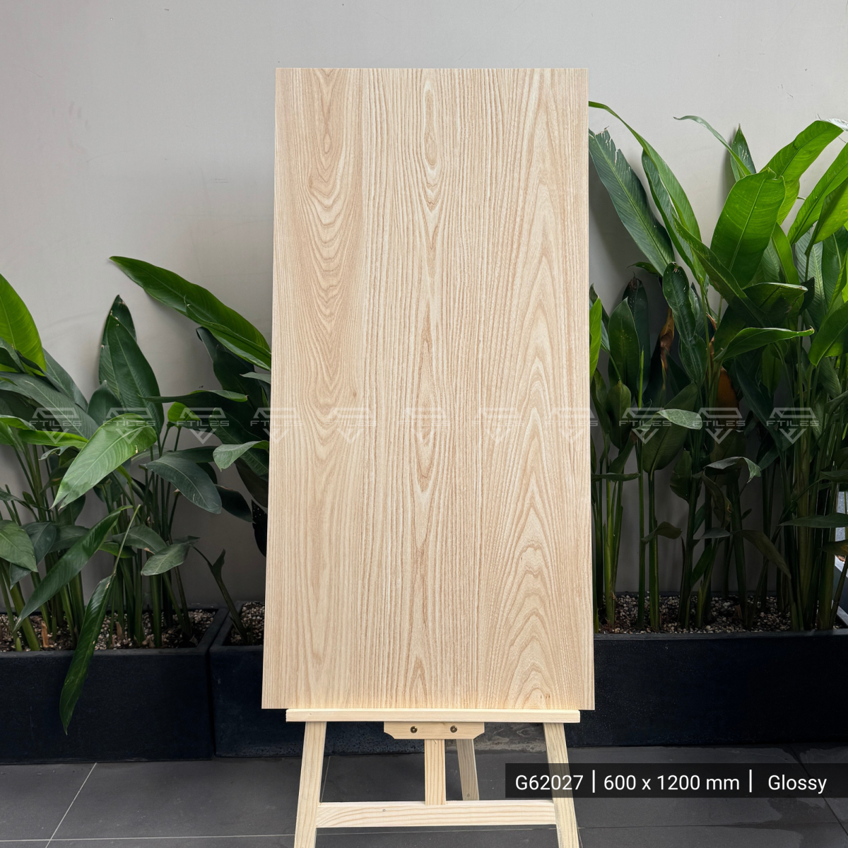 FTILES 600X1200 HACKBARRY BROWN LIGHT G62027