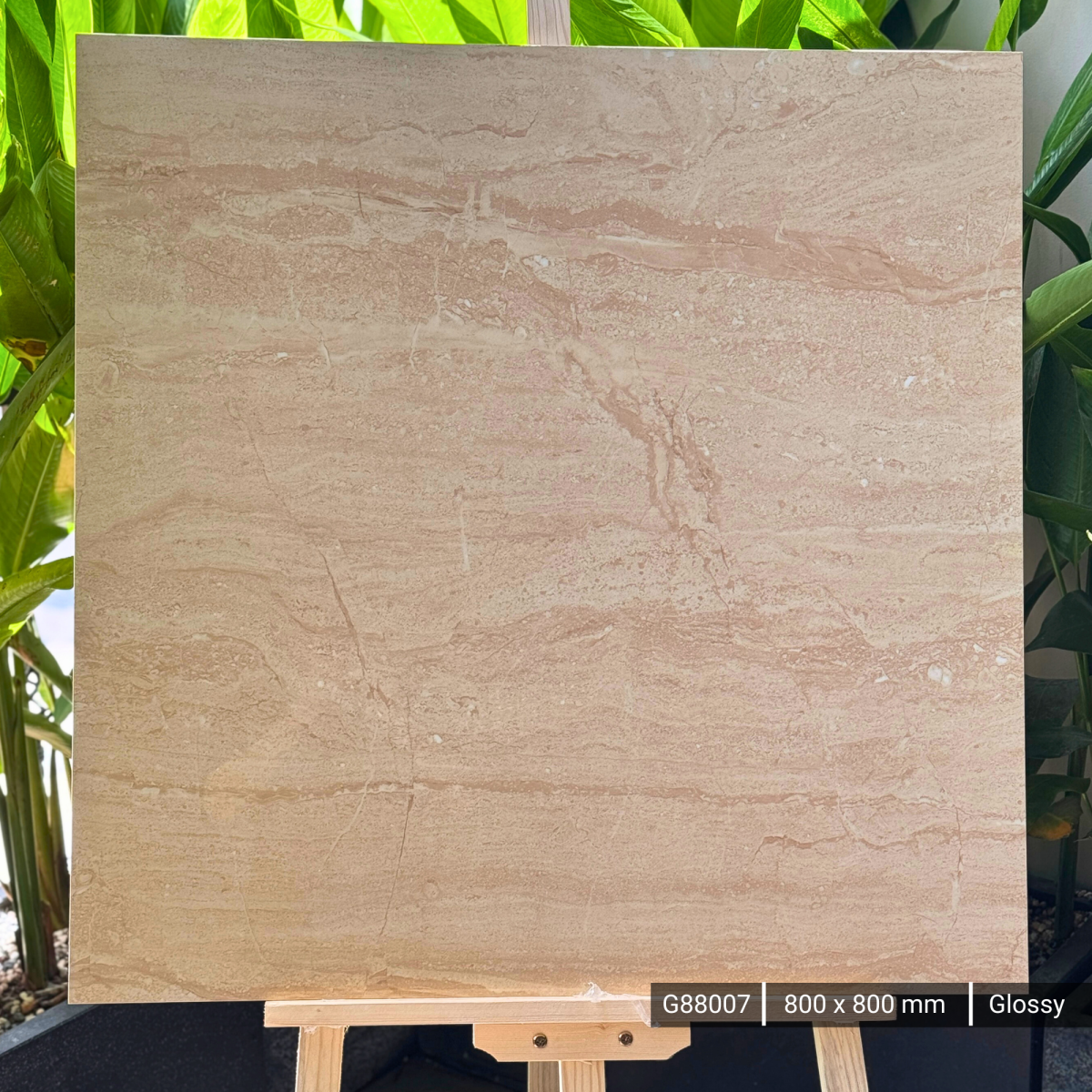 FTILES 800X800 DYNA BEIGE G88007