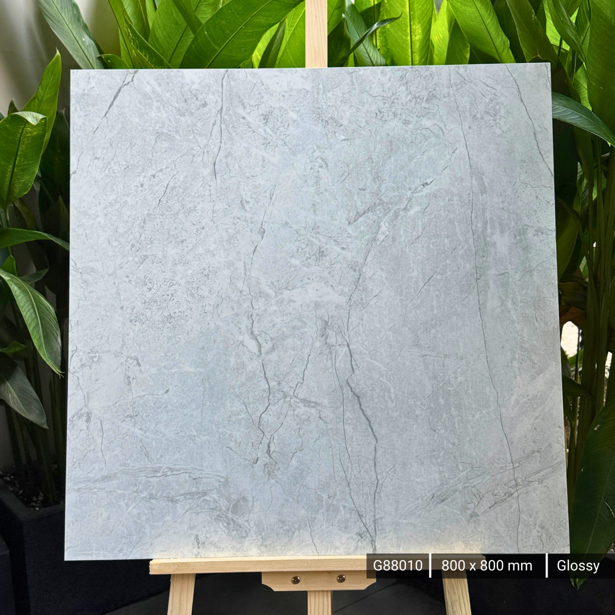 FTILES 800X800 ELEGANCE GREY G88010