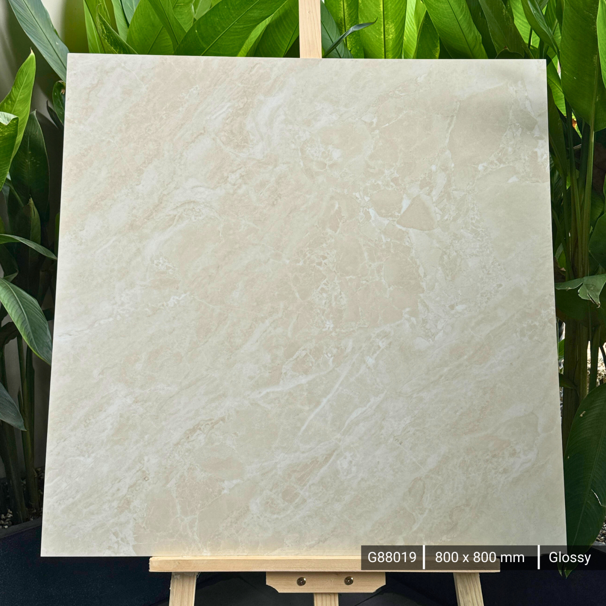 FTILES 800X800 ALENSON BEIGE G88019