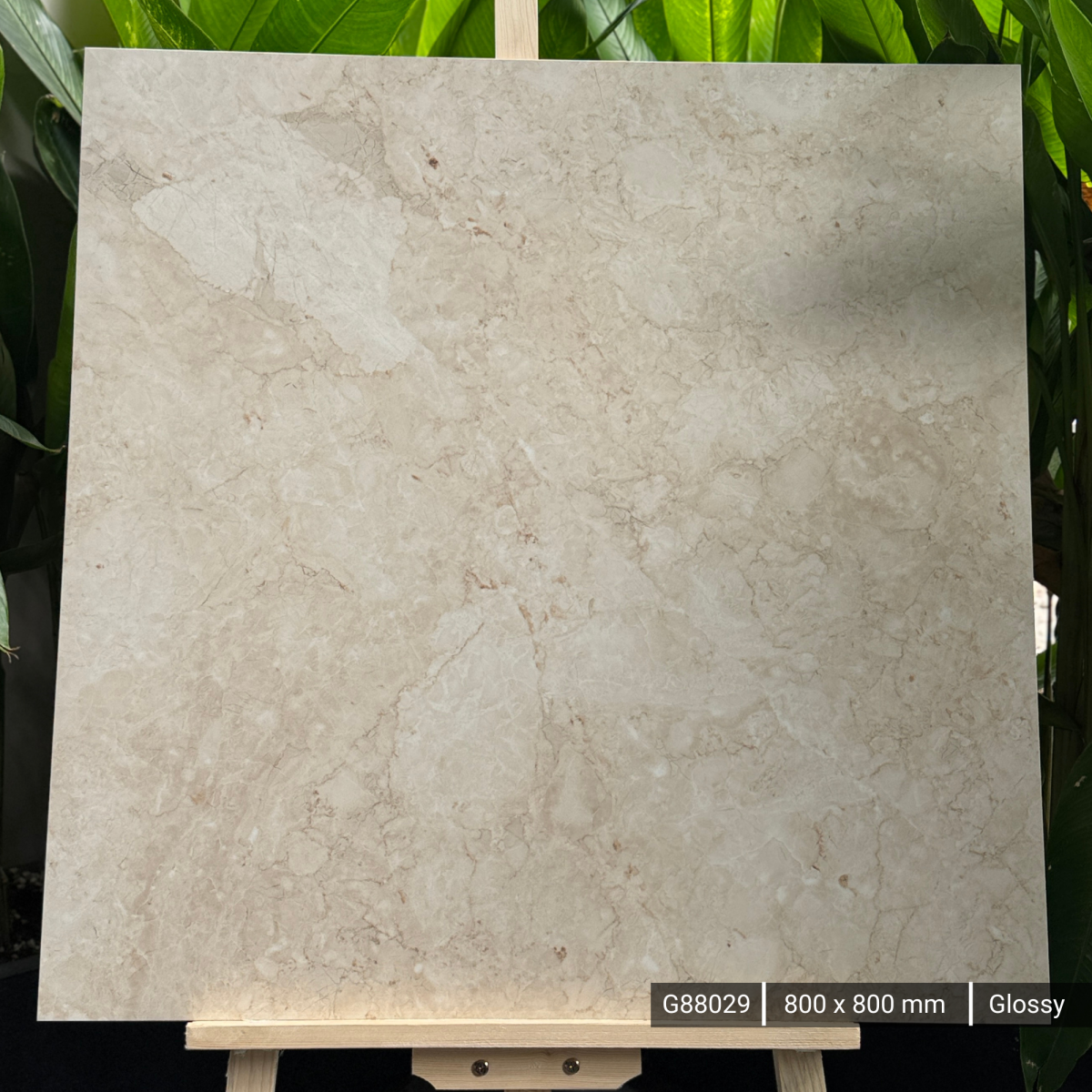 FTILES 800X800 SEGATE BEIGE G88029