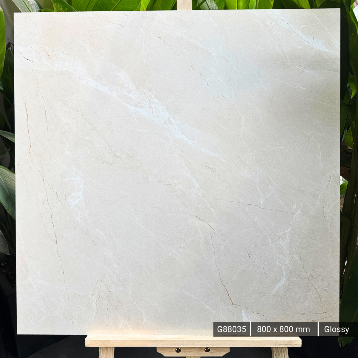 FTILES 800X800 ALICANTE CREMA G88035