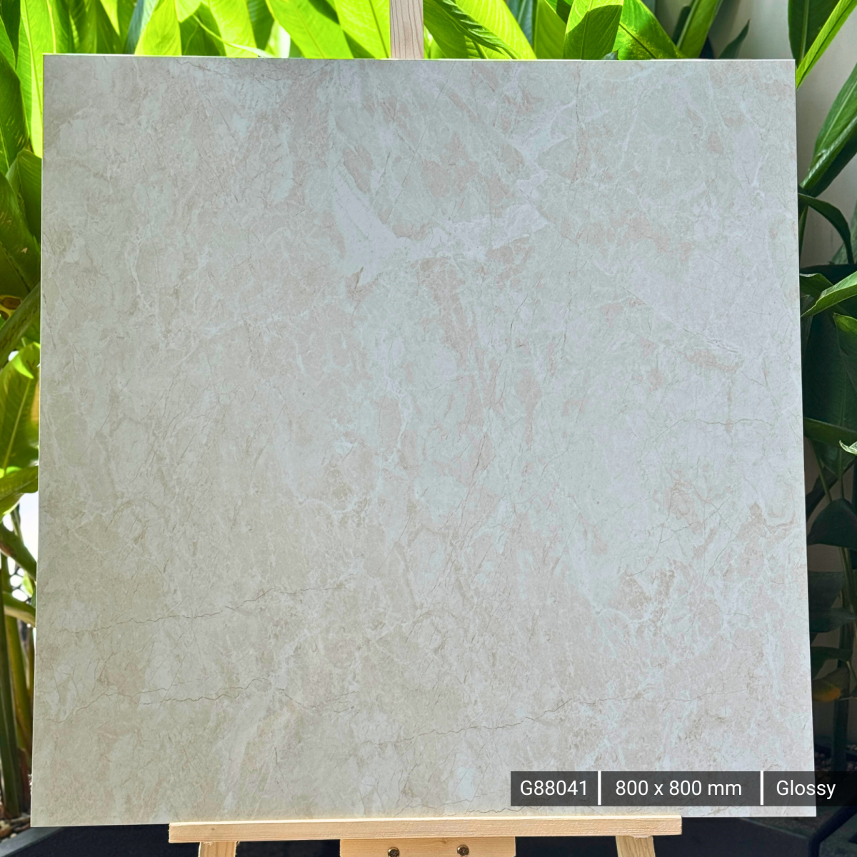 FTILES 800X800 PRISTINA BEIGE G88041