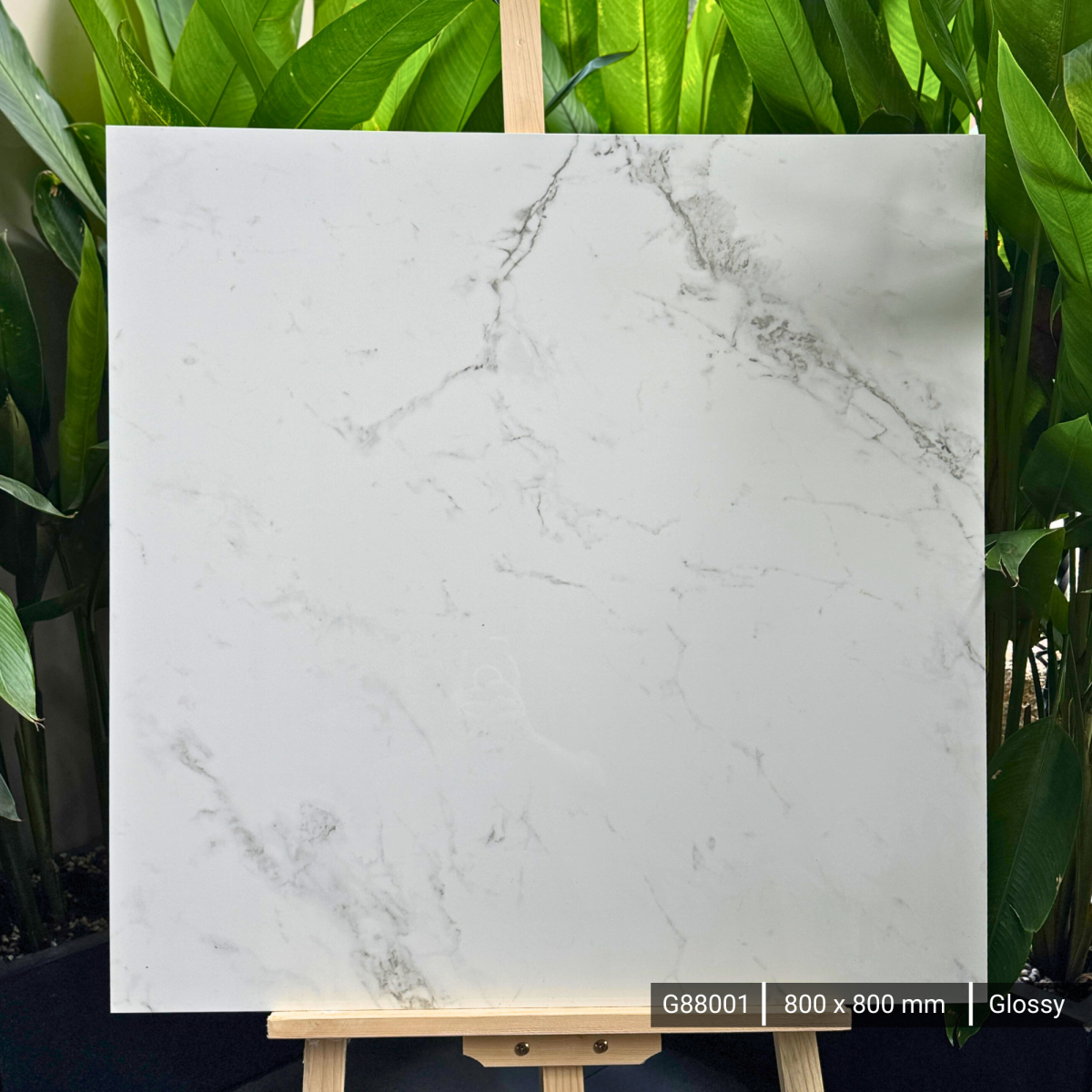 FTILES 800X800 SUPERB SATUARIO G88001