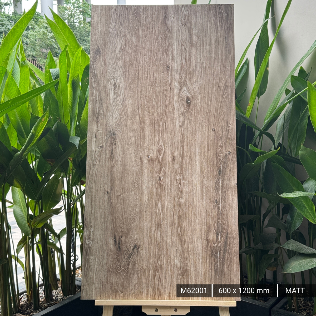 FTILES 600X1200 FOREST WOOD M62001