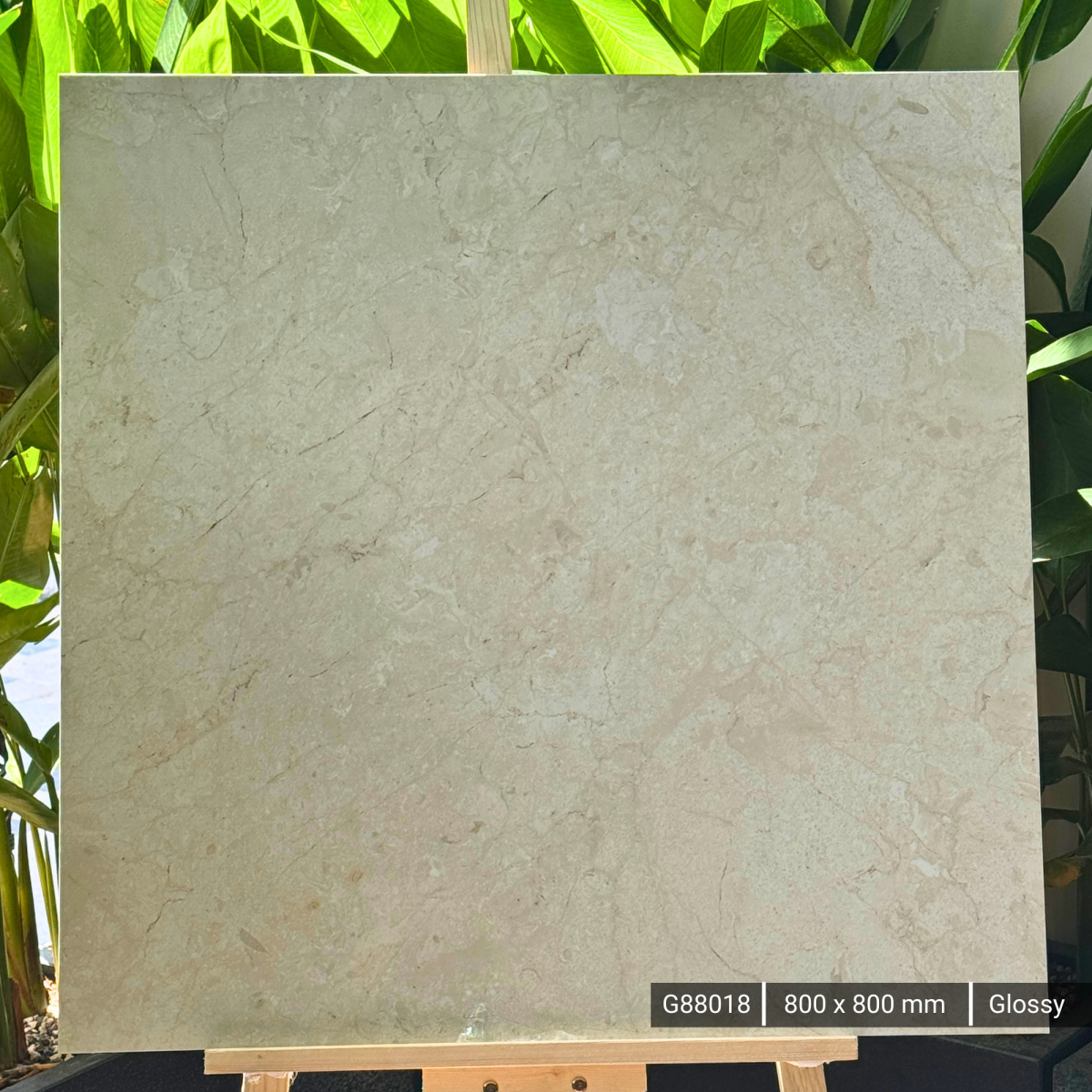 FTILES 800X800 SYDNEY CREMA   G88018