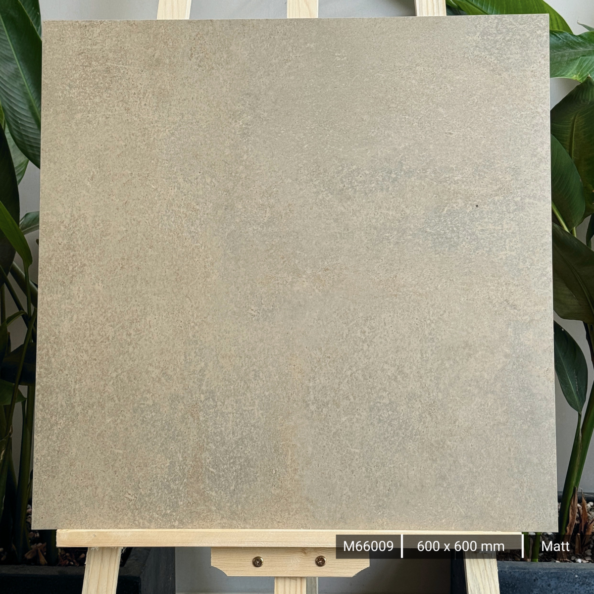 FTILES 600X600 ASTA ERTH M66009