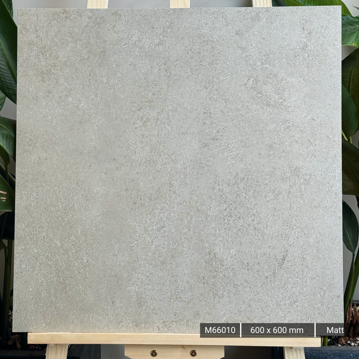 FTILES 600X600 ASTA BIANCO  M66010