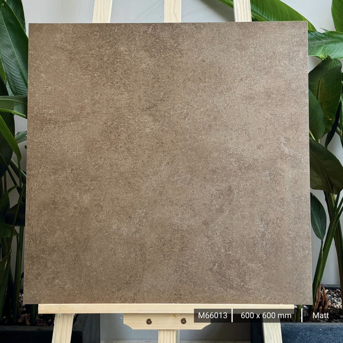 FTILES 600X600 ASTA BROWN  M66013