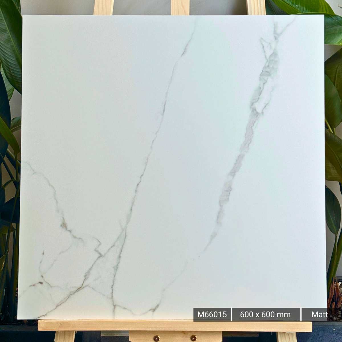 FTILES 600X600 ATLANTIC WHITE M66015