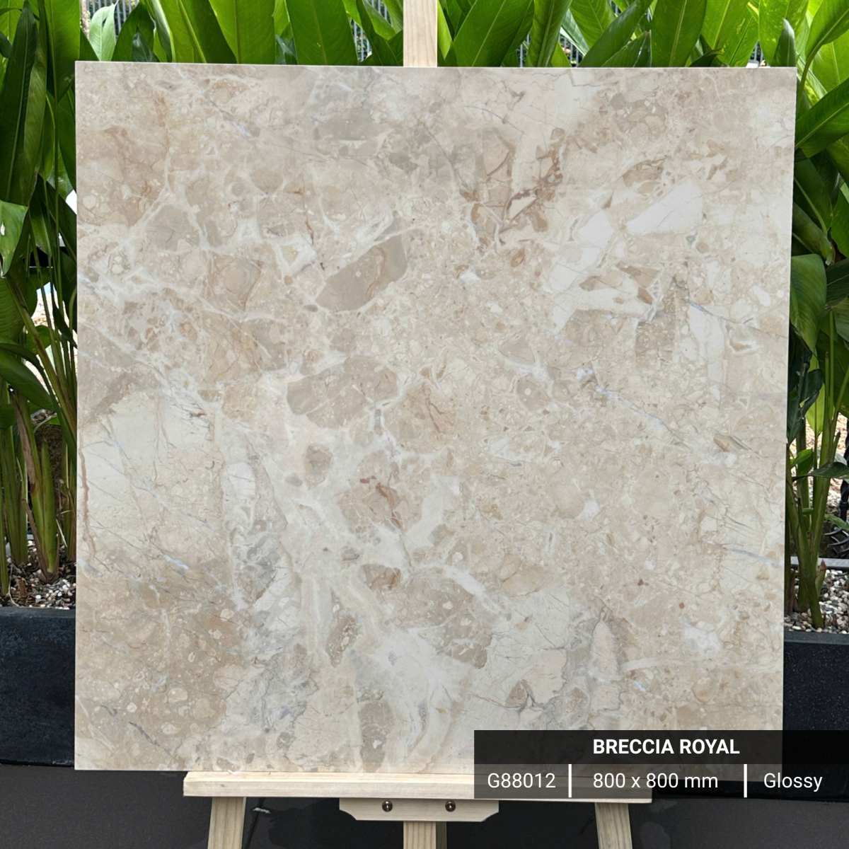 FTILES 800X800 BRECCIA ROYAL G88012